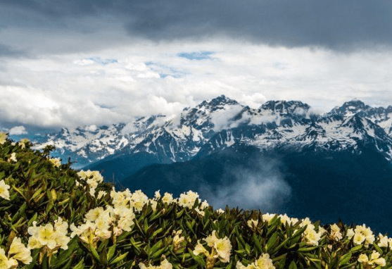 Заброска для трейлраннинга в горы: ключевые этапы и преимущества